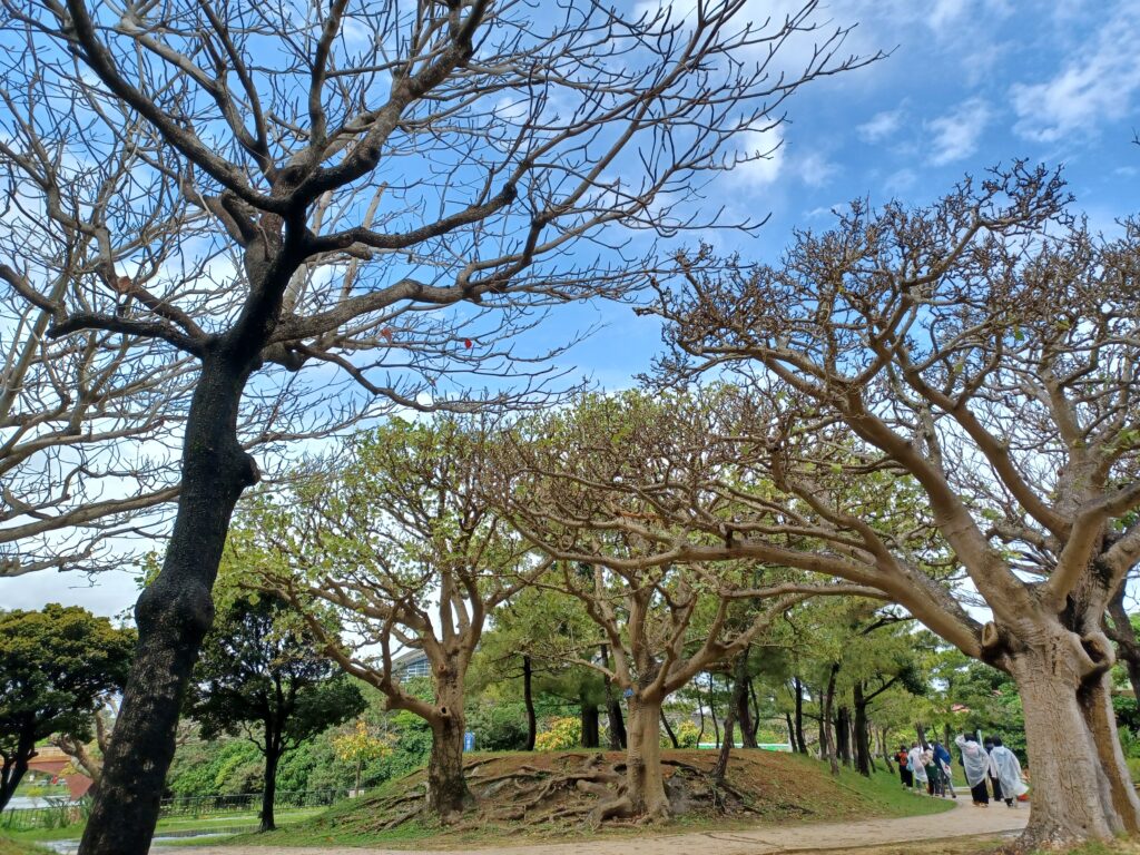 スカイフェス公園